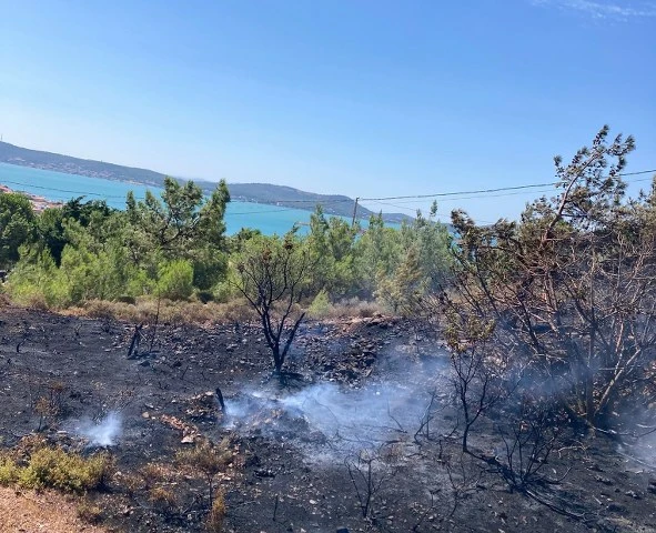 Ayvalık Cunda Adası'nda Orman Yangını