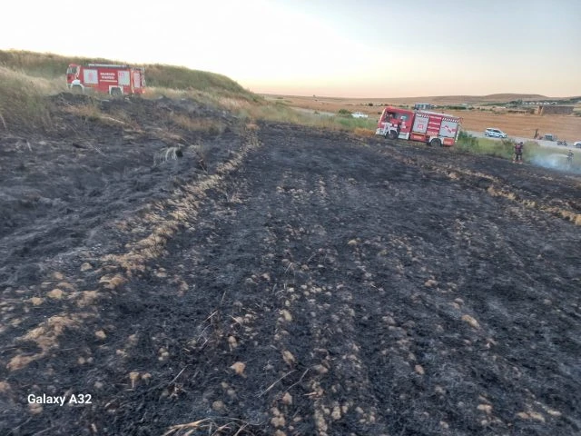Bandırma’da Buğday Tarlası ve Arazide Yangın