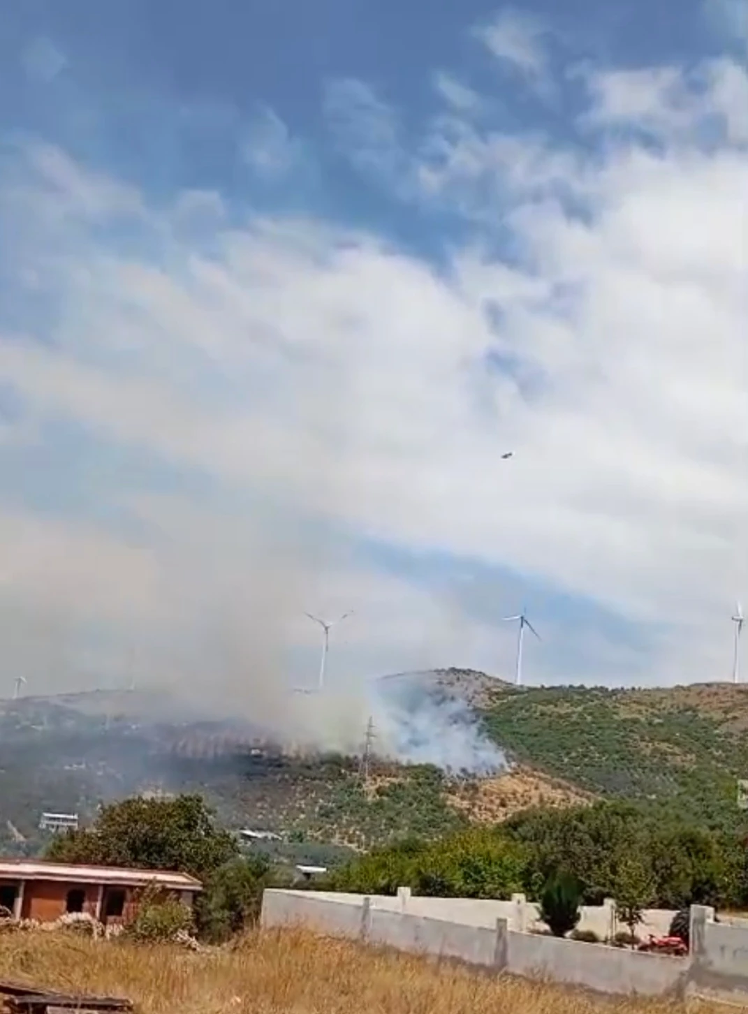 Erdek 'te orman yangını