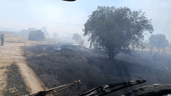 Gönen’de Üç Noktada Yangın: 13 Dönüm Arpa Zarar Gördü