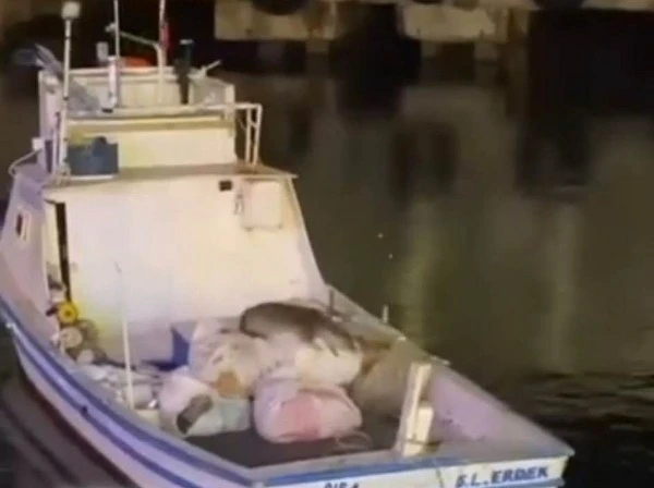 Avşa Adası