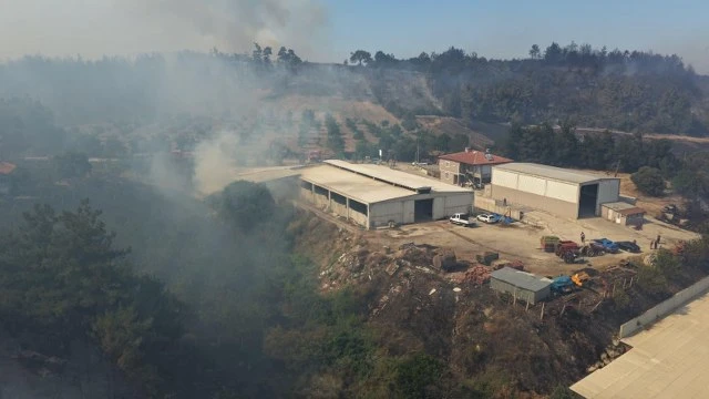 Balıkesir 'de 3 Ayrı Noktada Yangın Çıktı
