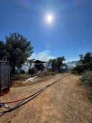 Ayvalık Cunda’da Çiftlik Yangını Ormana Sıçradı
