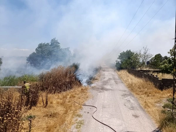 Gönen’de Üç Noktada Yangın 13 Dönüm Arpa Zarar Gördü