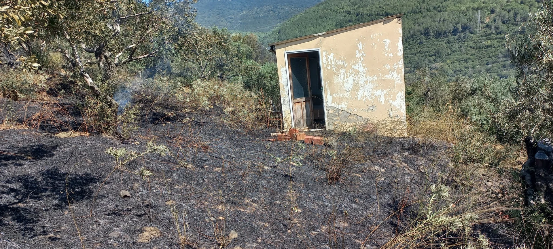Erdek'teki orman yangını söndürüldü