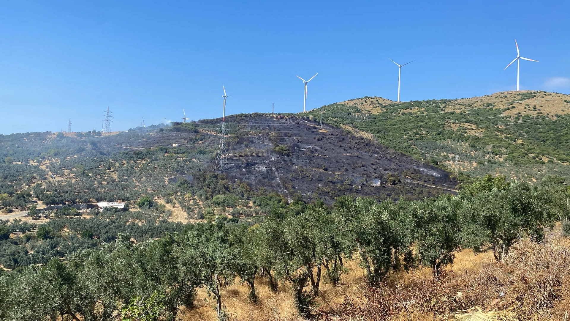 Erdek'teki orman yangını söndürüldü