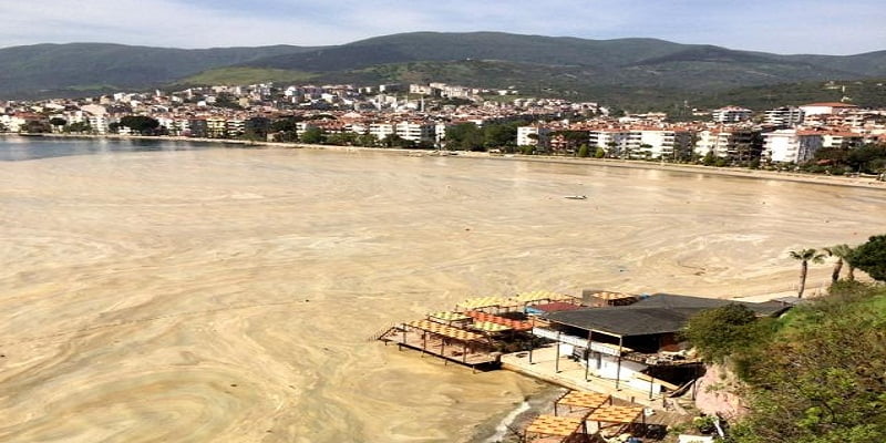 Erdek Körfezi'ni kurtaracak karar 1