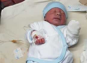 bebek_291x600