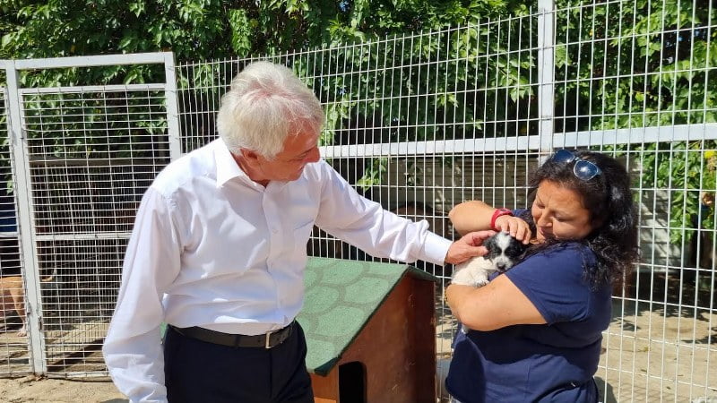 Başkan Güney hayvanseverlerle bir araya geldi (1)_800x450