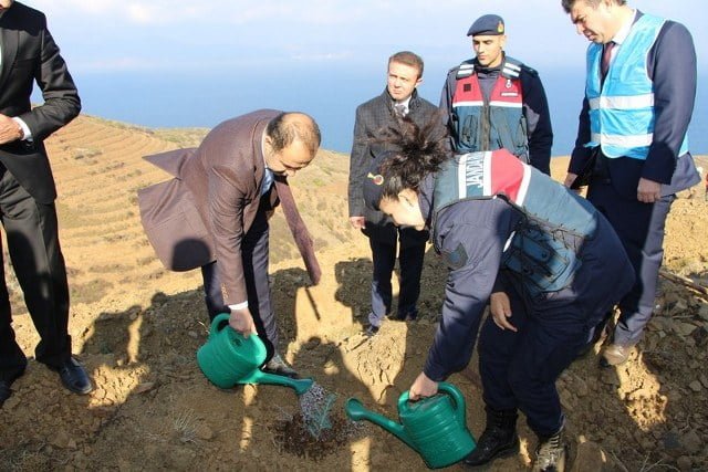 Bandırma’da Milli Ağaçlandırma Günü’nde 15 bin fidan toprakla buluştu (9)