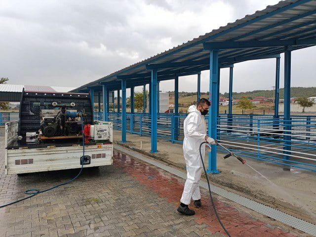 HAYVAN PAZARINDA HAREKETLİLİK SÜRÜYOR (1)_640x480