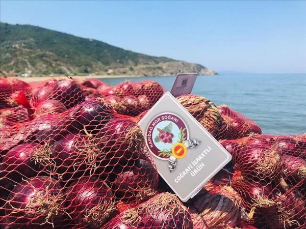 Erdek ilçesine bağlı kırsal Ballıpınar mahallesinde yetişen ve dünya'da sadece iki vadi de coğrafi işarete sahip olan ve üretimi yapılan Mor soğan fideleri toprakla buluşuyor. Özellikle balık sofralarının vazgeçilmez ürünü Mor soğan, Erdek İlçesi kırsal Ballıpınar Mahallesi'nde ekilmeye başlandı.