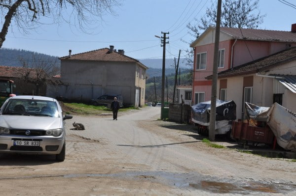 susurluk'on yıldızı o (6)