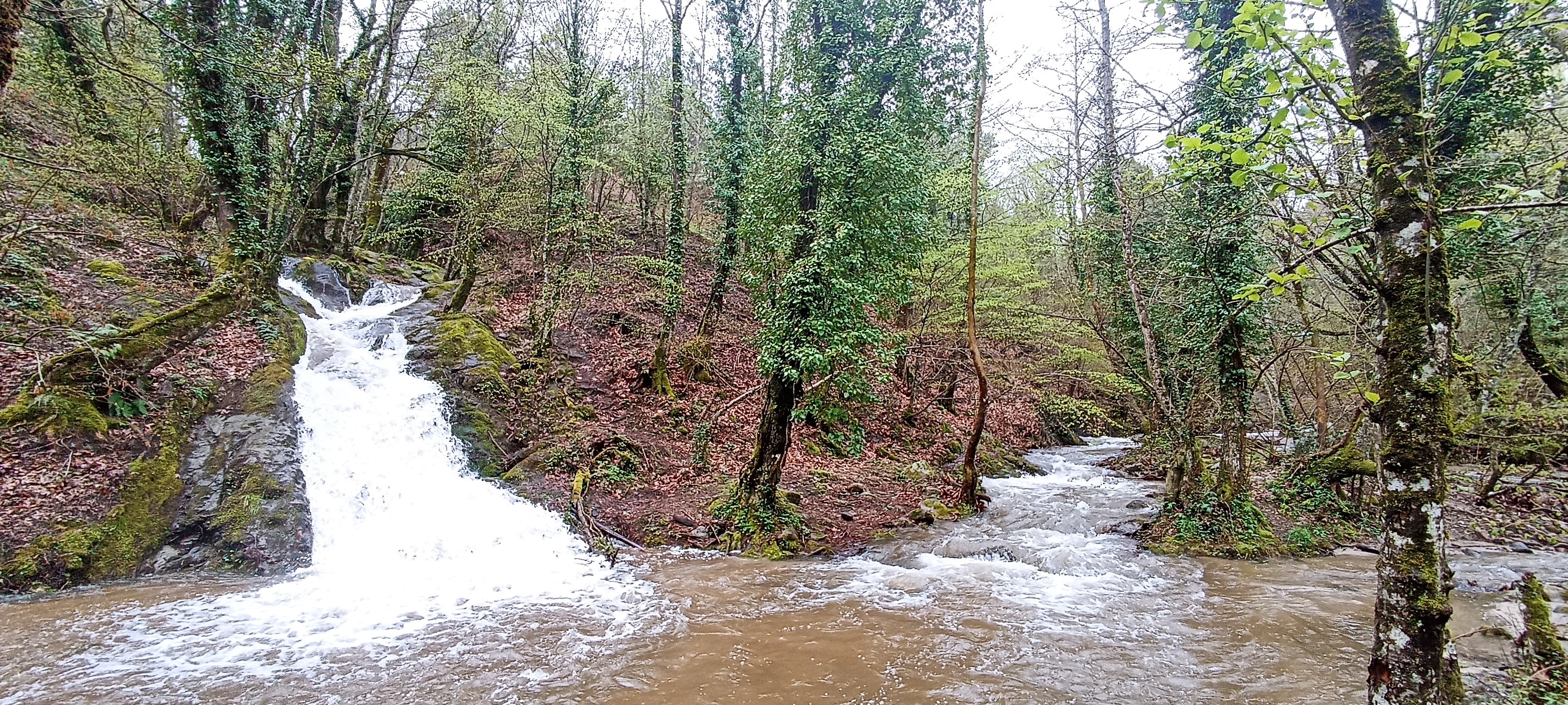 KAZDAĞLARI'NDAN SEVİNDİREN GÖRÜNTÜ