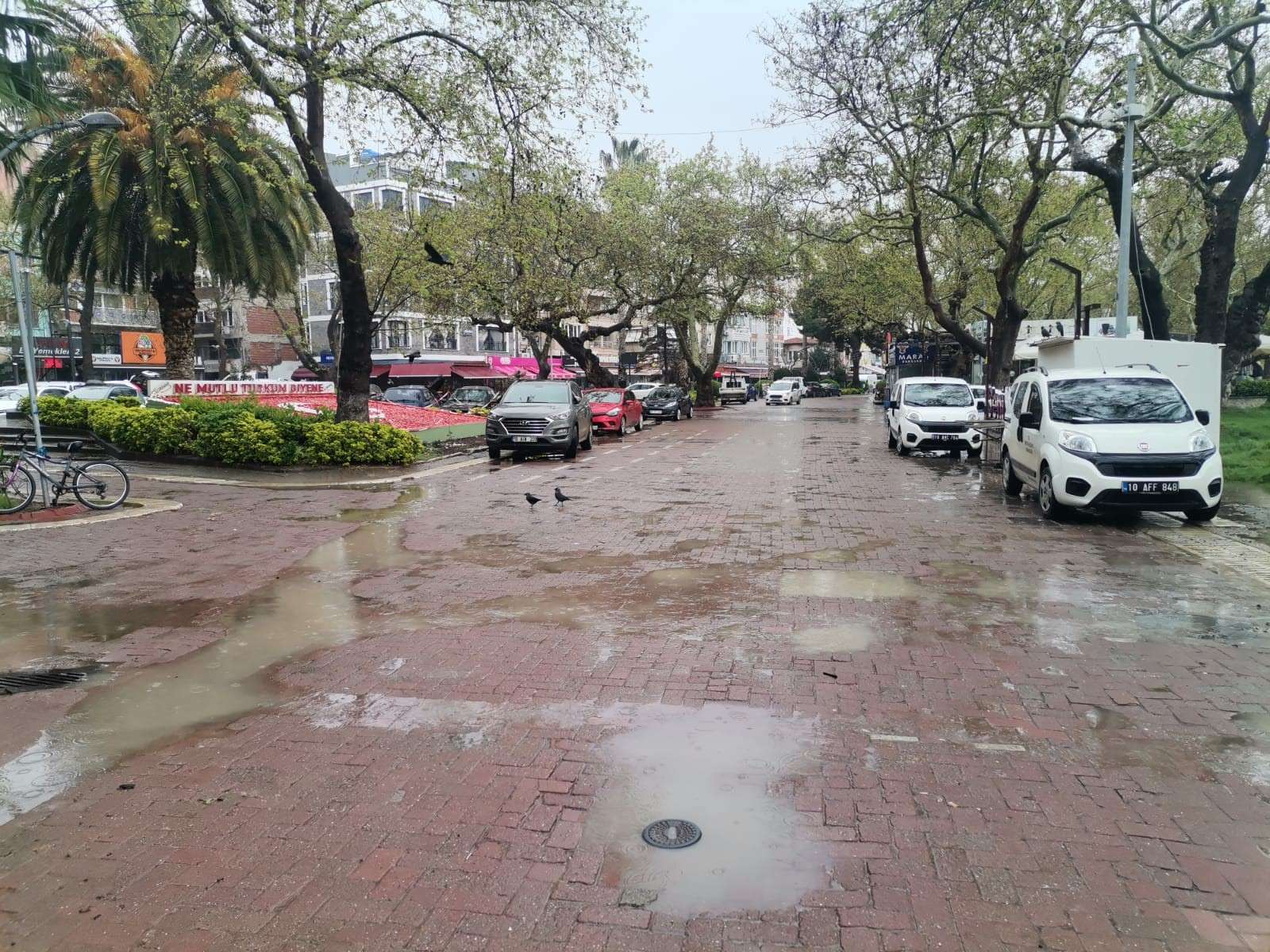 erdek
