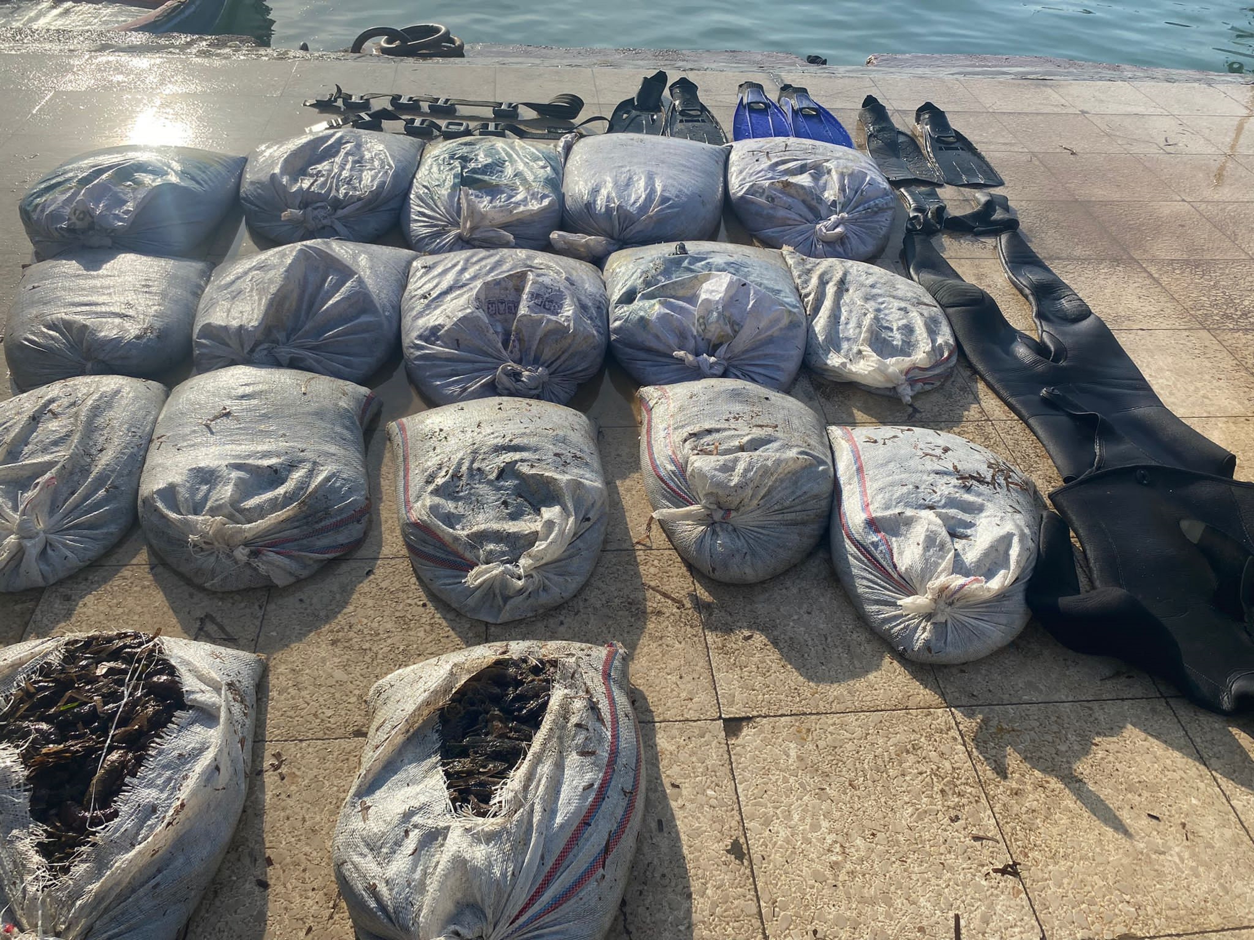Balıkesir’in Ayvalık ilçesinde, Sahil Güvenlik ekipleri yasa dışı deniz patlıcanı avcılığı yapan 3 kişiyi suçüstü yakaladı.