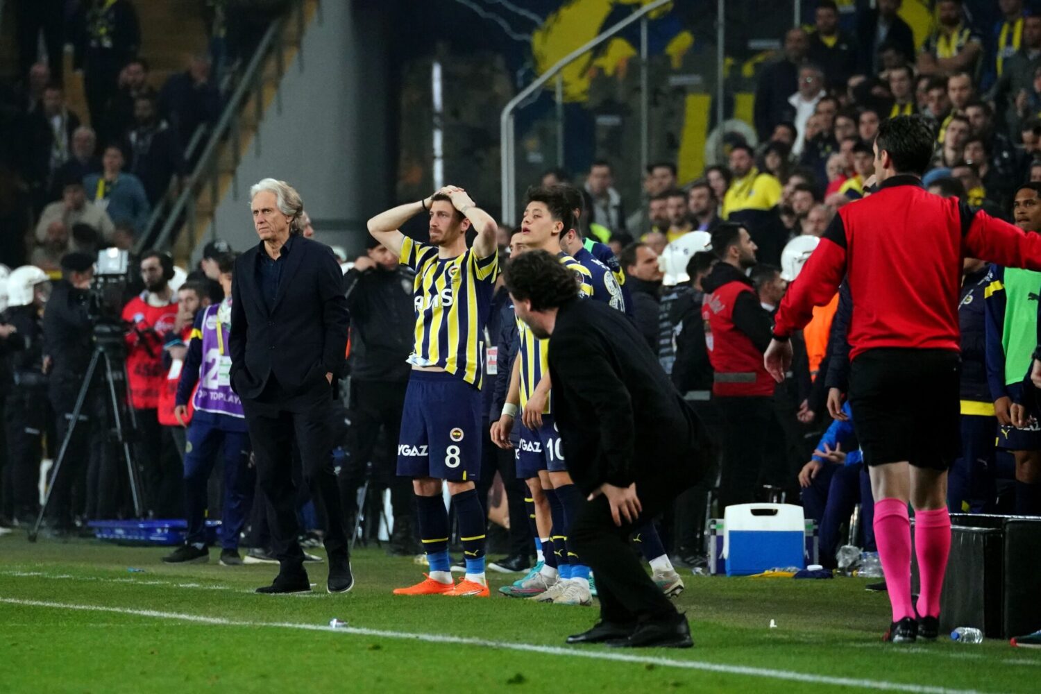Fenerbahçe, Spor Toto Süper Lig