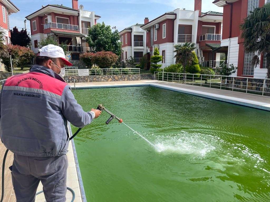Burhaniye Belediyesi Sağlık İşleri Müdürlüğü İlaçlama Birimi, yılın 12 ayı devam eden çalışmalarının yanında, yaklaşan yaz sezonu için çalışmalarına hız kazandırdı.