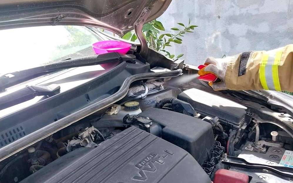 Balıkesir’in Gömeç ilçesinde motor bölümüne giren bir buçuk metrelik yılan korkulu anlar yaşanmasına neden oldu.
