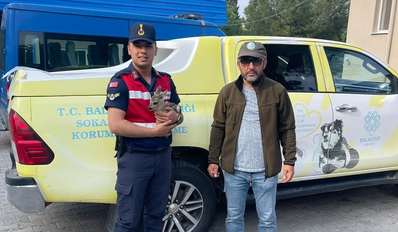 Balıkesir'in Bigadiç ilçesinde jandarma timi devriye gezerken ormanlık alanda bulduğu Karaca yavrusunu Milli Parklar görevlilerine teslim etti.