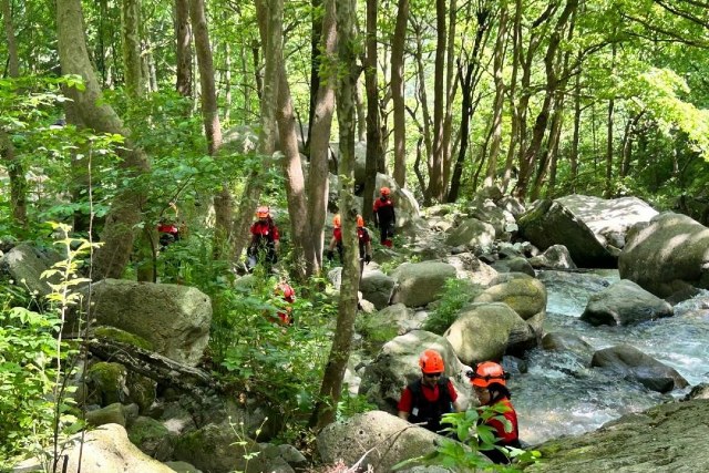 74 yaşındaki Kadir Fidan 10 gün önce ot toplamak ve gezmek için Uludağ'a çıktı ve sonrasında geri gelmedi. Fidan'ın gelini, kayınpederinin ot toplamaya değil, iki kişiyle define aramaya gittiğini iddia etti. 10 gündür haber alınamayan yaşlı adam polis ekipleri tarafından aranıyor.