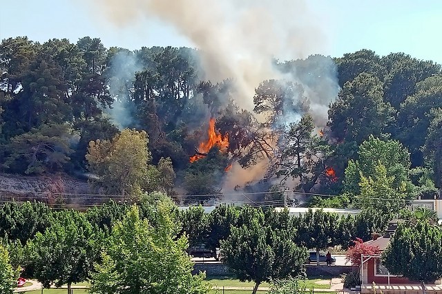 Antalya'nın Aksu ilçesinde ev olarak kullanılan konteynerdeki yangın ormana sıçradı. Yangının büyümeden kontrol altına alındı.