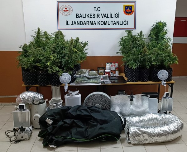Balıkesir'in Gömeç ilçesinde bir villada özel düzenek kullanarak skunk adı verilen uyuşturucu bitkisi yetiştiren bir şüpheli, jandarma operasyonu sonucunda yakalandı.