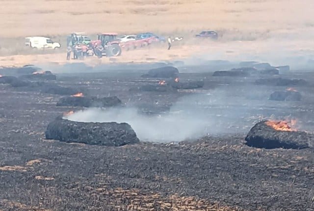 Balıkesir'in Bandırma ilçesinde bir tarlada çıkan yangın rüzgarın etkisiyle büyüyerek 6 dönüm alanı yok etti.