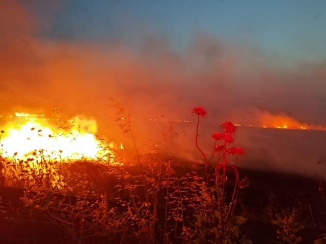Balıkesir'in Gönen ilçesinde bir tarlada yangın çıktı. Rüzgarın etkisiyle büyüyen yangın 60 dönüm araziyi kül etti.