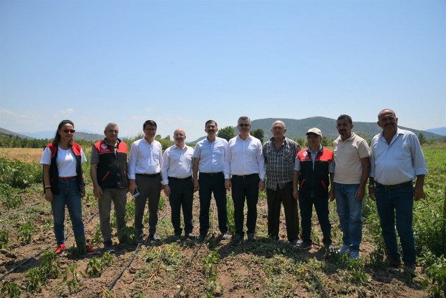Balıkesir İl Tarım Müdürlüğünce yürütülen demonstrasyon çalışmaları dahilinde Sındırgı ilçesinde ekimi yapılan yerli ve milli çeşitlerin hasadı gerçekleştirildi. Yerli tohum ile verimdeki artış da çiftçinin yüzünü güldürdü