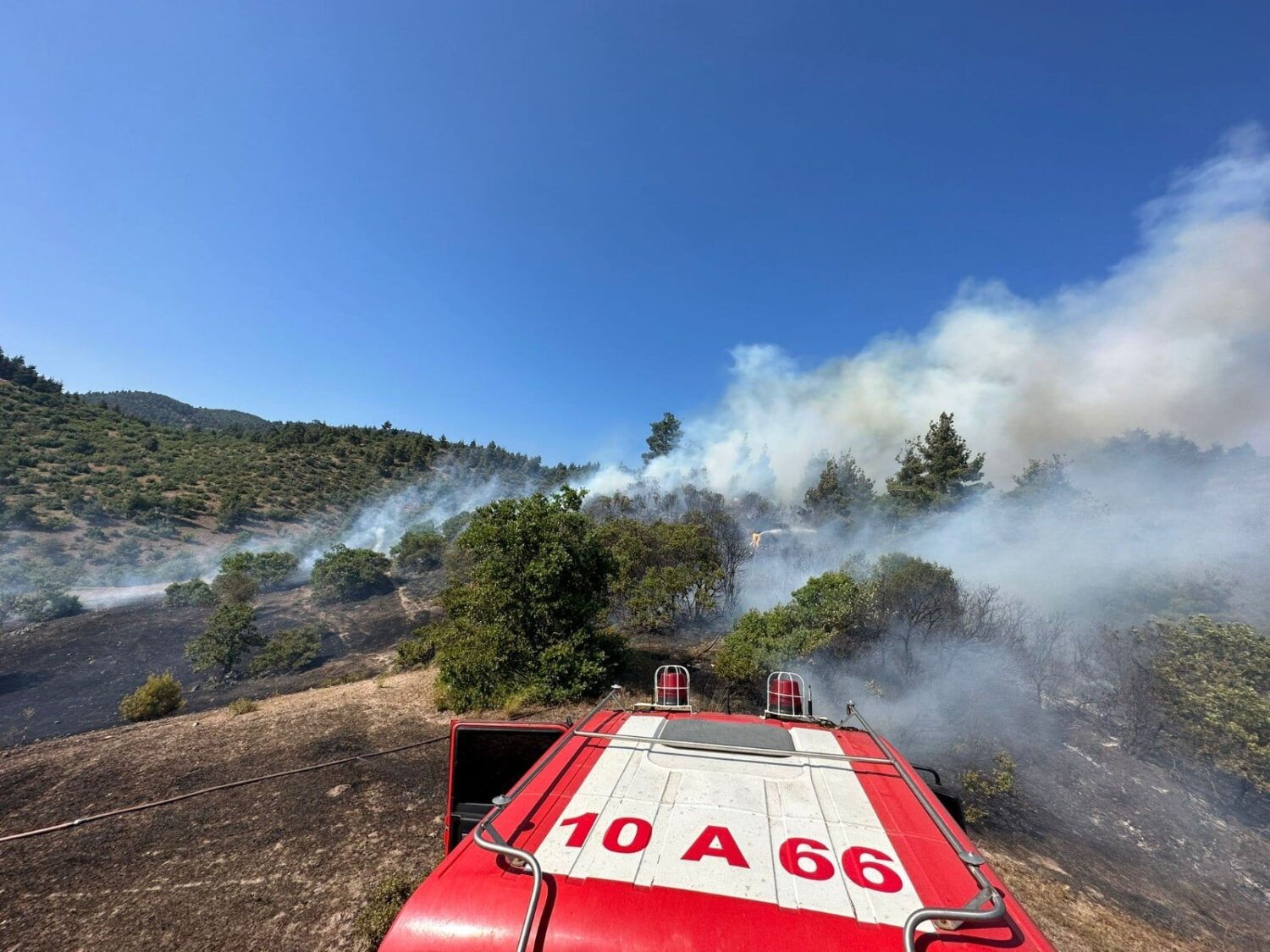 Balıkesir'in Sındırgı ilçesi ile Kütahya'nın Simav ilçesi arasındaki ormanlık alanda çıkan yangına karadan müdahale ediliyor.