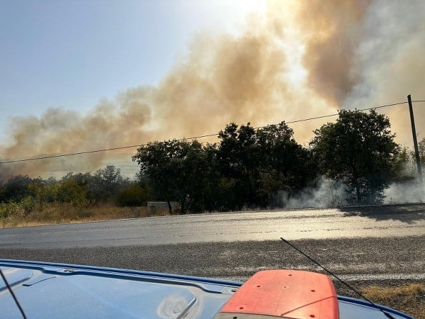 Çanakkale'nin Biga ilçesinde meydana gelen orman yangını, ekiplerin hava ve karadan yürüttüğü müdahaleyle başarıyla kontrol altına alındı.