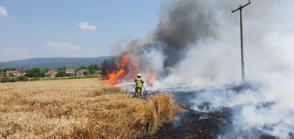 Susurluk Balıklıdere Mahallesinde meydana gelen buğday ekili arazide henüz belirlenemeyen bir nedenle başlayan angının diğer tarlalara da sıçraması nedeniyle buğday ekili bulunan toplam 75 dönüm arazideki buğday yanarak kül oldu.