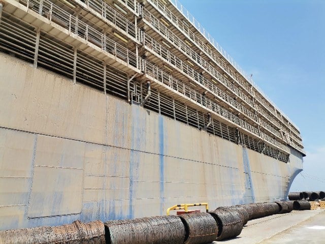 Toplam 26 bin 875 adet besilik sığırın bulunduğu Panama bandıralı, Uruguay