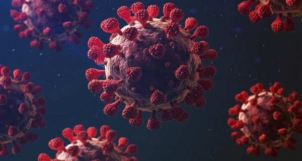 İngiltere kaynaklı ve hızla yayılan Omicron'un alt varyantı olan Eris virüsü, Covid-19 pandemisinin tekrar gündeme gelmesine neden oldu. Eris virüsü, EG.5.1 adıyla da anılmaktadır ve son zamanlarda özellikle İngiltere'de, corona virüs vakalarında artışa yol açtı.