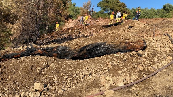 Balıkesir'in Burhaniye ilçesinde meydana gelen orman yangını, havadan ve karadan müdahale sayesinde etkili bir şekilde kontrol altına alınarak başarılı bir şekilde söndürüldü.