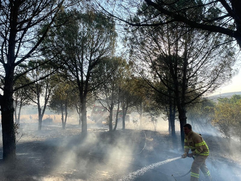 Balıkesir’in Balya ilçesinde çıkan orman yangını kontrol altına alınarak soğutma çalışmalarına başlanıldı. Çıkan yangında 30 dönümlük alan ve arı kovanları zarar gördü.