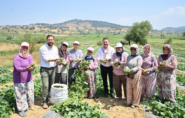 Balıkesir Büyükşehir Belediye Başkanı Yücel Yılmaz, Sındırgı ilçesinin değerli ürünlerinden biri olan ve coğrafi işareti tescillenmiş olan Sındırgı Kornişonu hasadı etkinliğine bizzat iştirak etti. Kadın çiftçilerle birlikte kornişon toplayan Başkan Yılmaz, “Allah çiftçilerimizin emeklerini zayi etmesin” dedi.