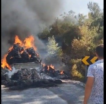 Balıkesir'in Kepsut ilçesinde meydana gelen yangın sonucunda, 30 hektarlık makilik ve ormanlık alan tamamen yok oldu. Yangın, saman yüklü bir kamyonette başladı ve önce kamyoneti kül haline getirdikten sonra çevredeki ormanlık alana sıçradı.