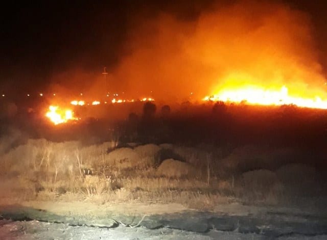 Balıkesir'in Bandırma ilçesinde hayvan barınağının arkasında yer alan ormanlık alanda park halindeki araç yanmaya başladı. Ağaçlara sıçramasıyla büyüyen yangın 3 saatte söndürüldü.