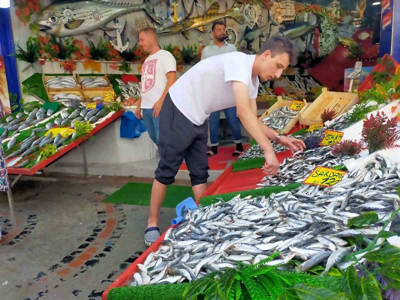 Balıkçı esnafı dün itibari ile av yasağının sona ermesi ile yeni sezonda “Hamsi bolluğu görülebilir” ifadelerini kullandı.