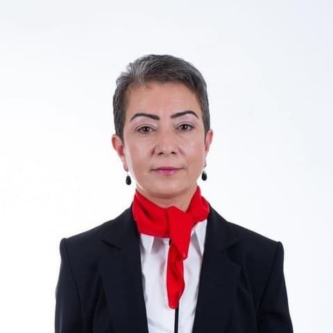 Balıkesir Edremit'te Belediye Meclis üyesi Filiz Sırma Uluç ve oğlu Ulaş, Altınoluk ilçesinde kendilerine ait iş yerlerinin önünde üç kişi tarafından saldırıya uğradı.