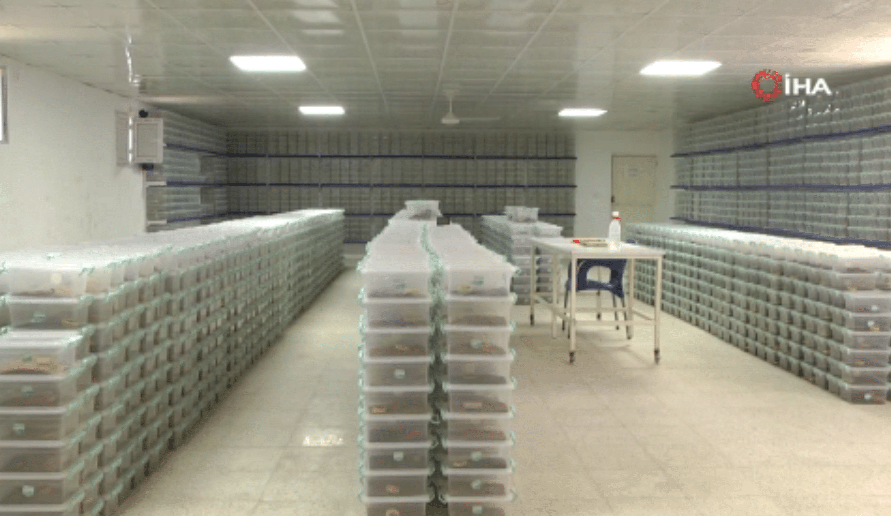 Şanlıurfa'da bulunan bir çiftlikte yaklaşık 15 bin akrep, her ay düzenli olarak sağılarak elde edilen zehirleri, ilaç ve kozmetik endüstrisinde kullanmak amacıyla üretiyor.