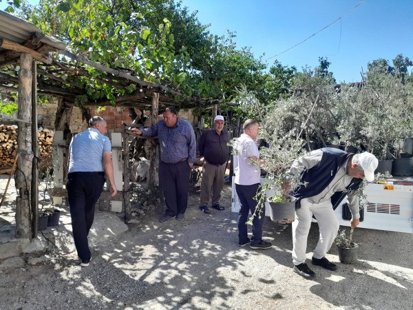 Edremit ilçesinden gönderilen 250 adet zeytin fidanı, Çanakkale'de yangınların etkilediği köylerde toprakla buluşmak üzere sevk edildi. Fidanlar, yangın sonrası rehabilitasyon çalışmalarına katkı sağlamak amacıyla bu bölgelere dikilecek.