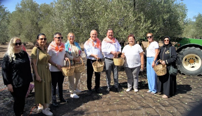 Balıkesir’in Ayvalık ilçesinde zeytin hasadı başladı. MHP Balıkesir Milletvekili Ekrem Gökay Yüksel de zeytin hasat coşkusuna katıldı.
