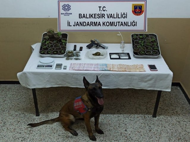 Balıkesir'in Edremit ilçesinde jandarma tarafından uyuşturucu operasyonu gerçekleştirildi. Operasyon sonucunda 2 kişi gözaltına alındı.