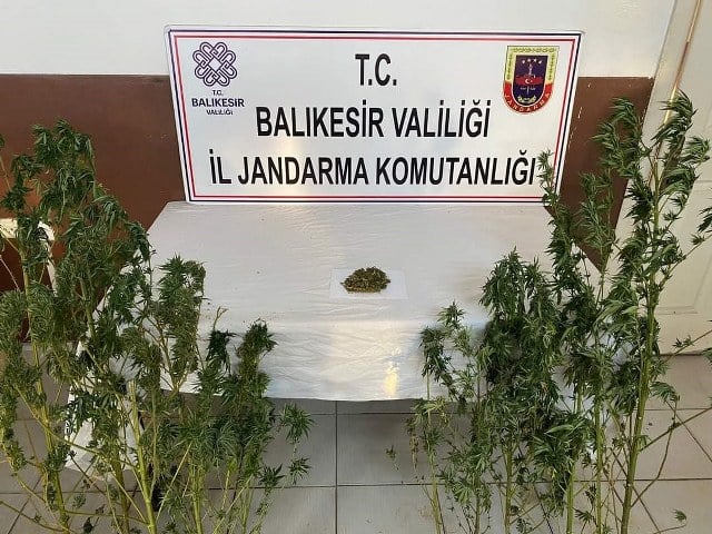Balıkesir'in Erdek ilçesinde bir eve operasyon düzenlendi. Operasyonda 20 kök kenevir bitkisi ve 15 gram kubar esrar bulundu.