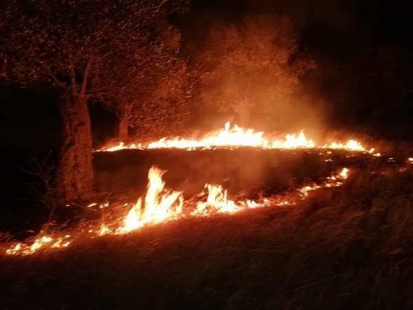 Havran ilçesi, Balıkesir'de bir zeytinlik alanda meydana gelen örtü yangını, itfaiye ekiplerinin hızlı müdahalesiyle kontrol altına alınıp söndürüldü.