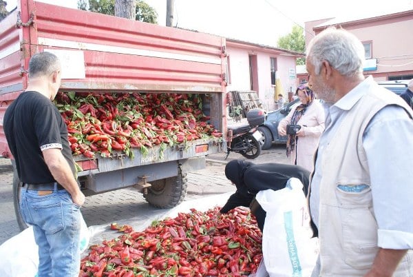 Manyas ilçesinde fabrikanın ucuz fiyat vermesinin ardından ürününü römork kasasında sattı. Piyasada 20 TL