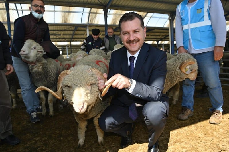 Büyükşehir Belediyesi